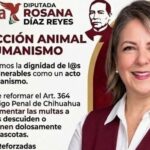 Impulsa Rosana Díaz Reyes sanciones más firmes contra la omisión de cuidados a animales