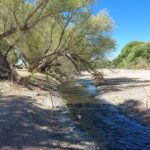 Alertan por vientos fuertes y calor en Chihuahua