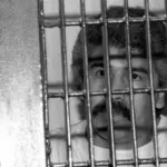 Determinan la apertura del juicio contra Caro Quintero en Nueva York: comenzará en 2027