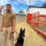 Se suman binomios caninos al blindaje contra el GBG en Chihuahua