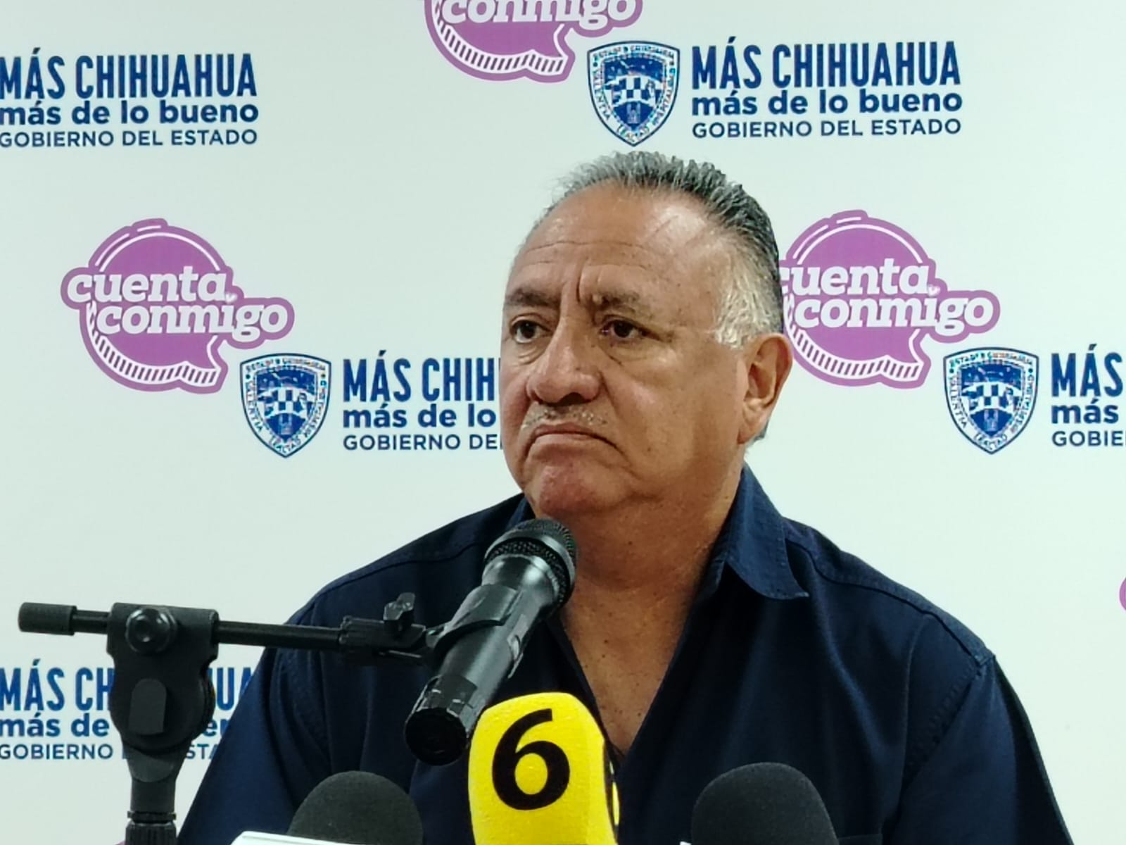 Sedue mantiene programa de adopción de árboles dirigido a niños