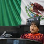 Diputada Edith Palma presenta dictamen para impulsar la inclusión efectiva dentro de los partidos políticos