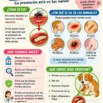Salud llama a reforzar medidas preventivas ante riesgo de Gusano Barrenador