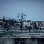 Francia anuncia ayudas para zonas devastadas por los peores incendios forestales en décadas