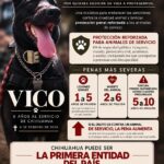 Proponen Ley Vico para endurecer sanciones por maltrato animal en Chihuahua