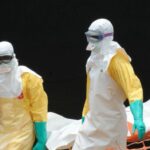 Francia registra el primer caso humano del virus Shamonda; el paciente falleció